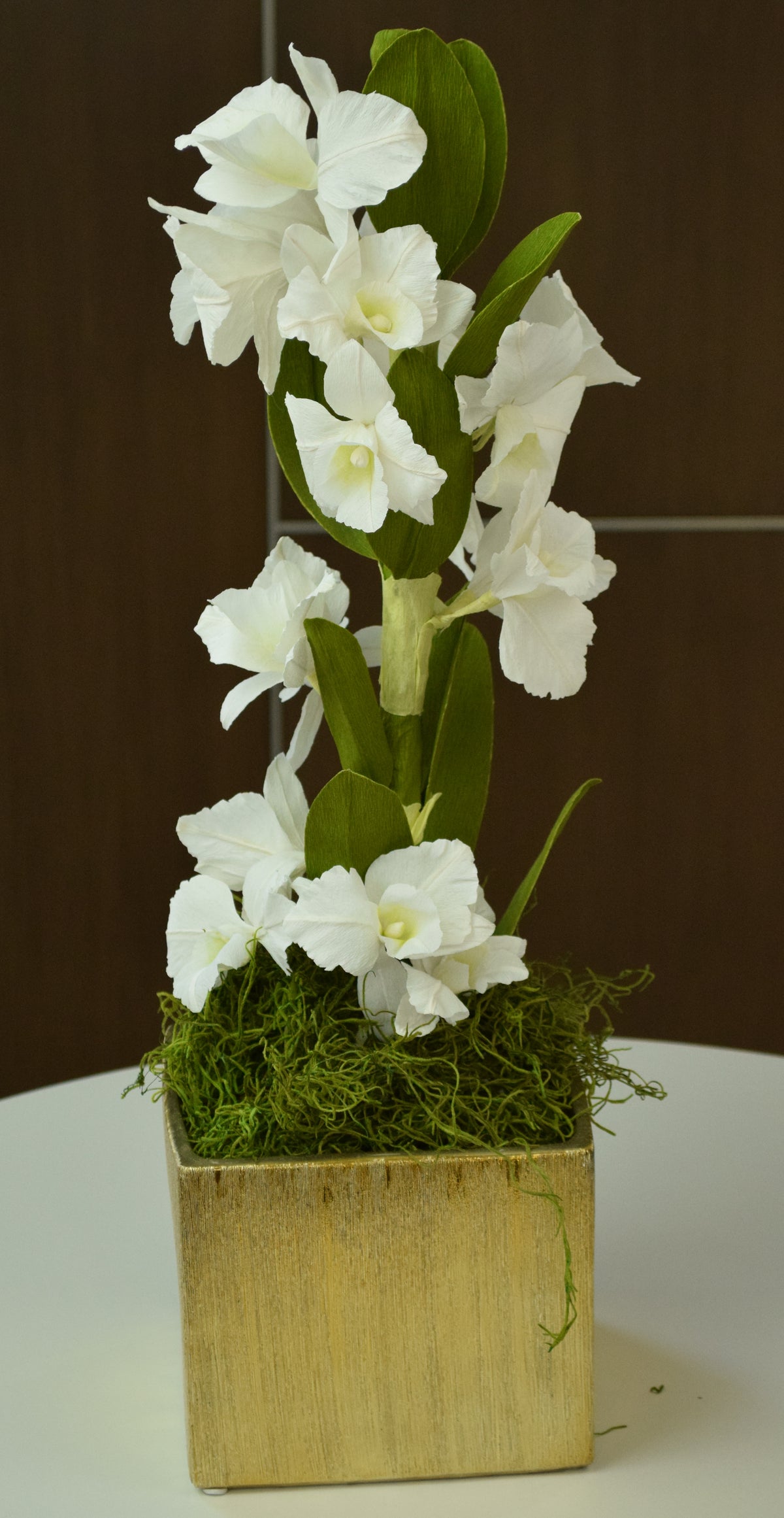 White Cattleya Orchid